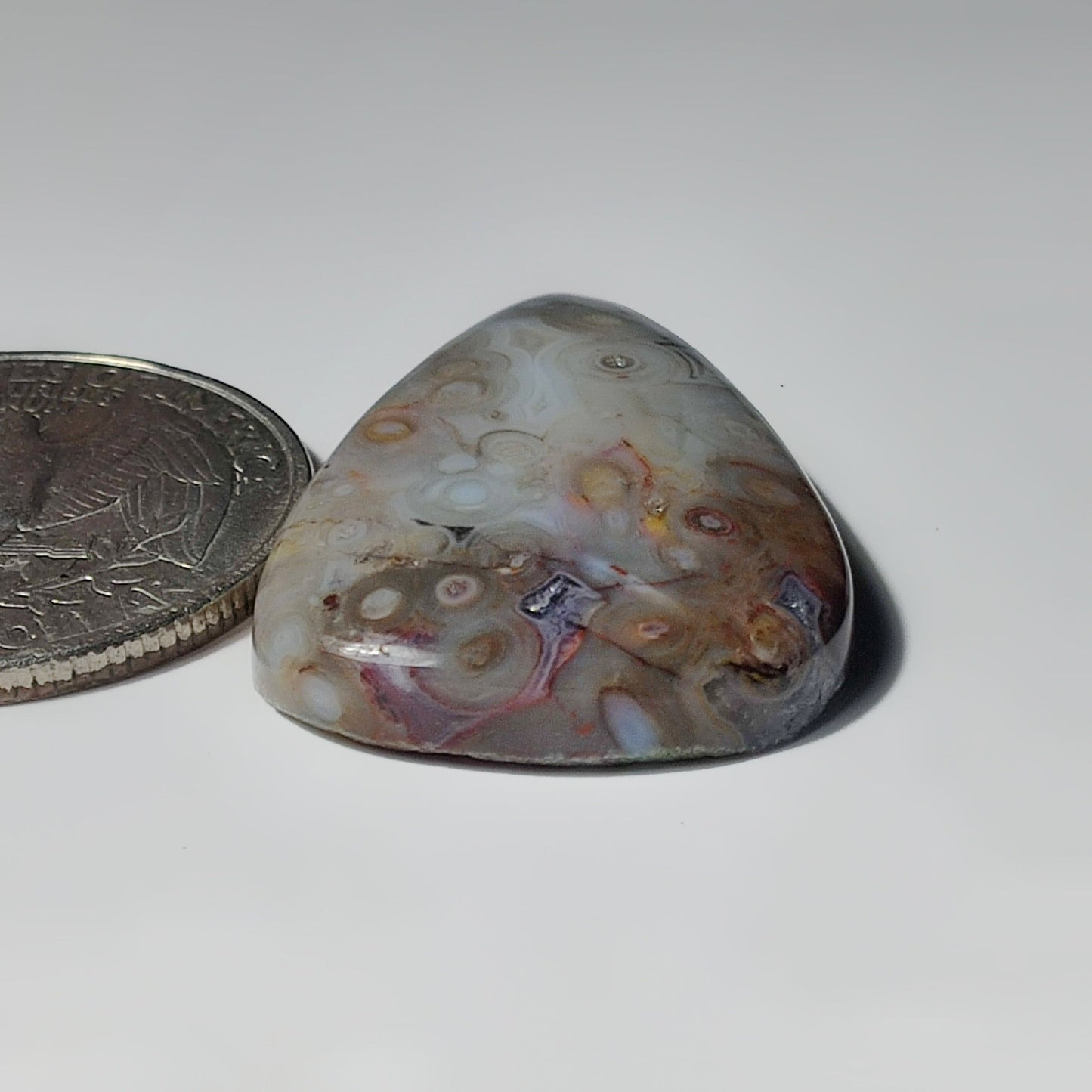Palm Root Agate