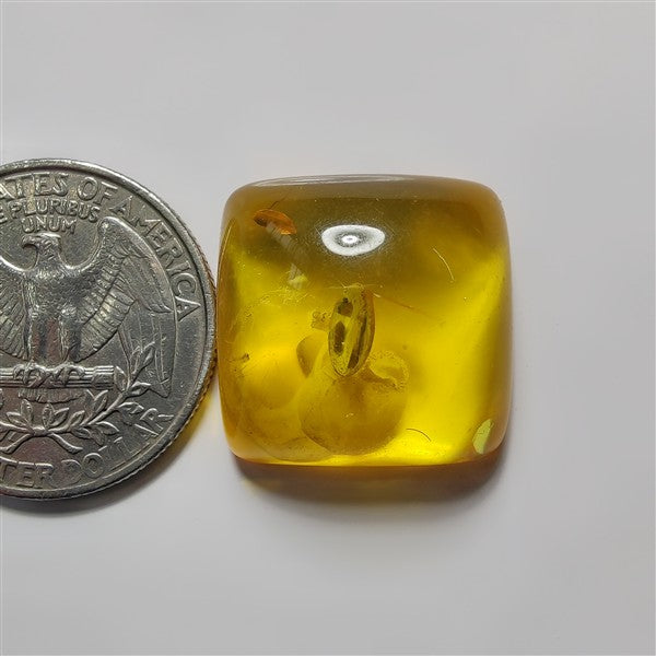 Treated Amber gemstone cabochon - natural crystal healing stone for jewelry making by SemiPreciousCabs