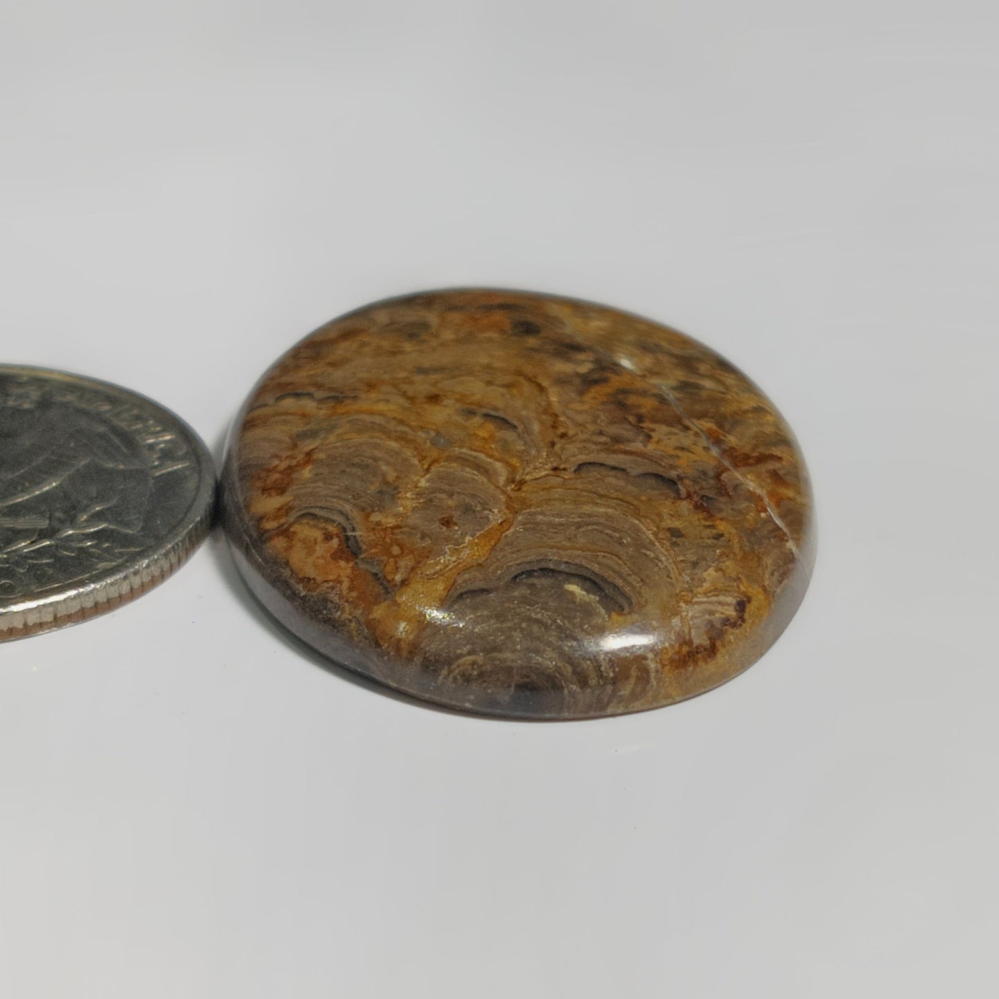 Stromatolite