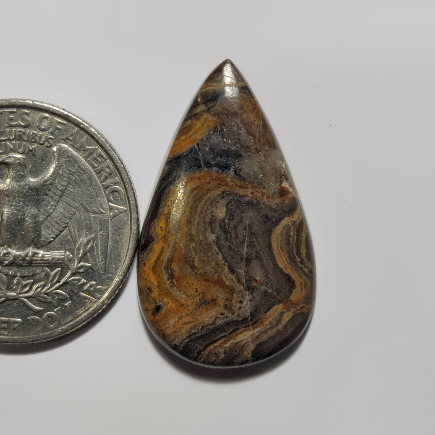 Stromatolite