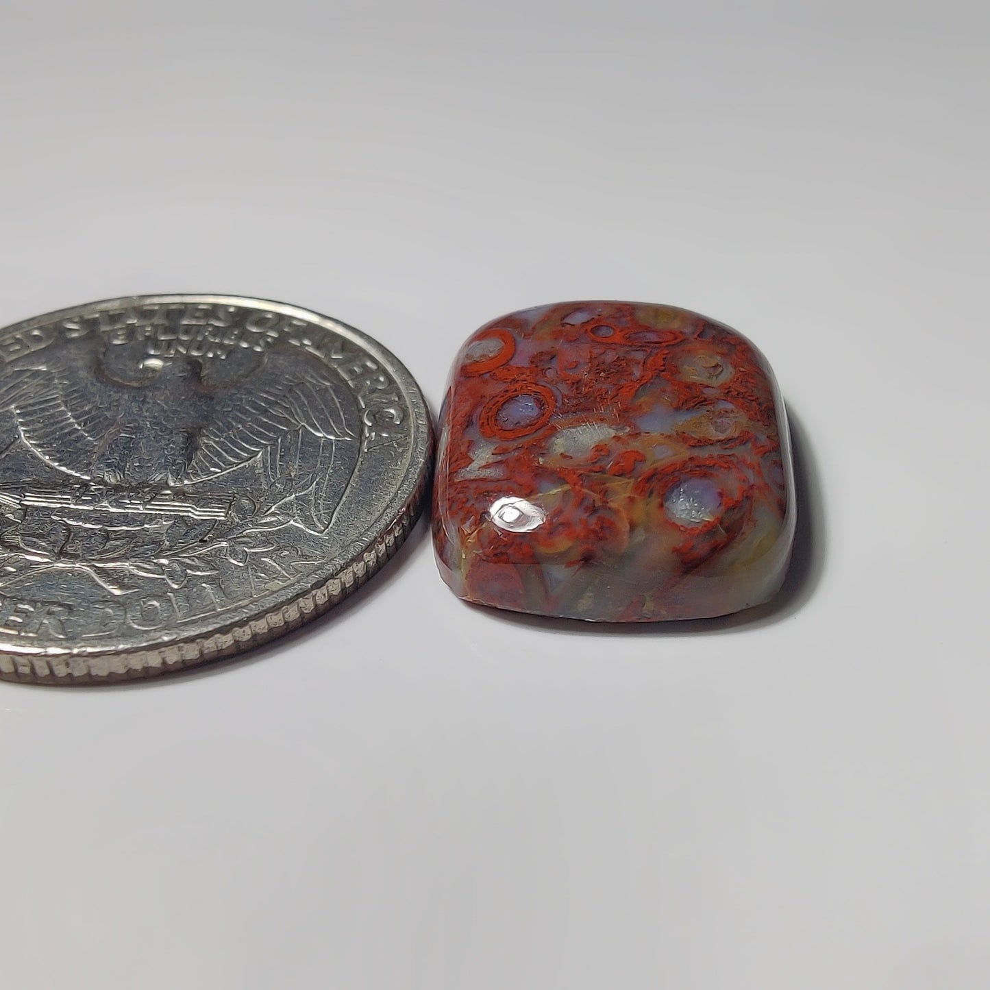 Palm Root Agate gemstone cabochon - natural crystal healing stone for jewelry making by SemiPreciousCabs