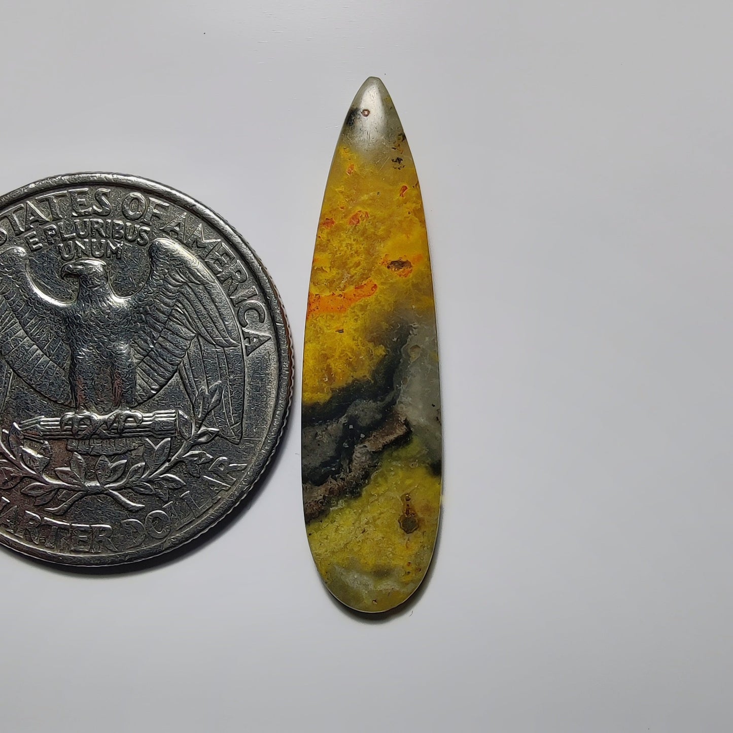 Bumblebee Jasper