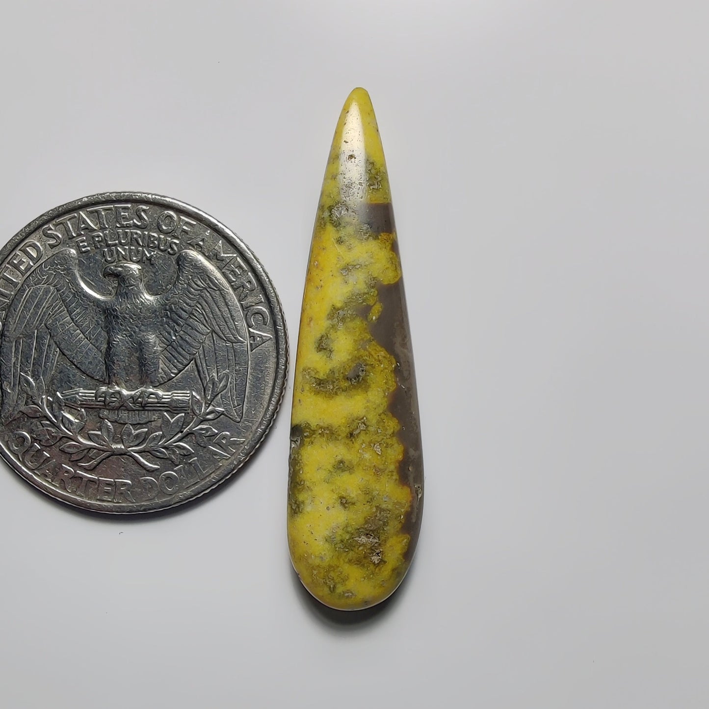 Bumblebee Jasper