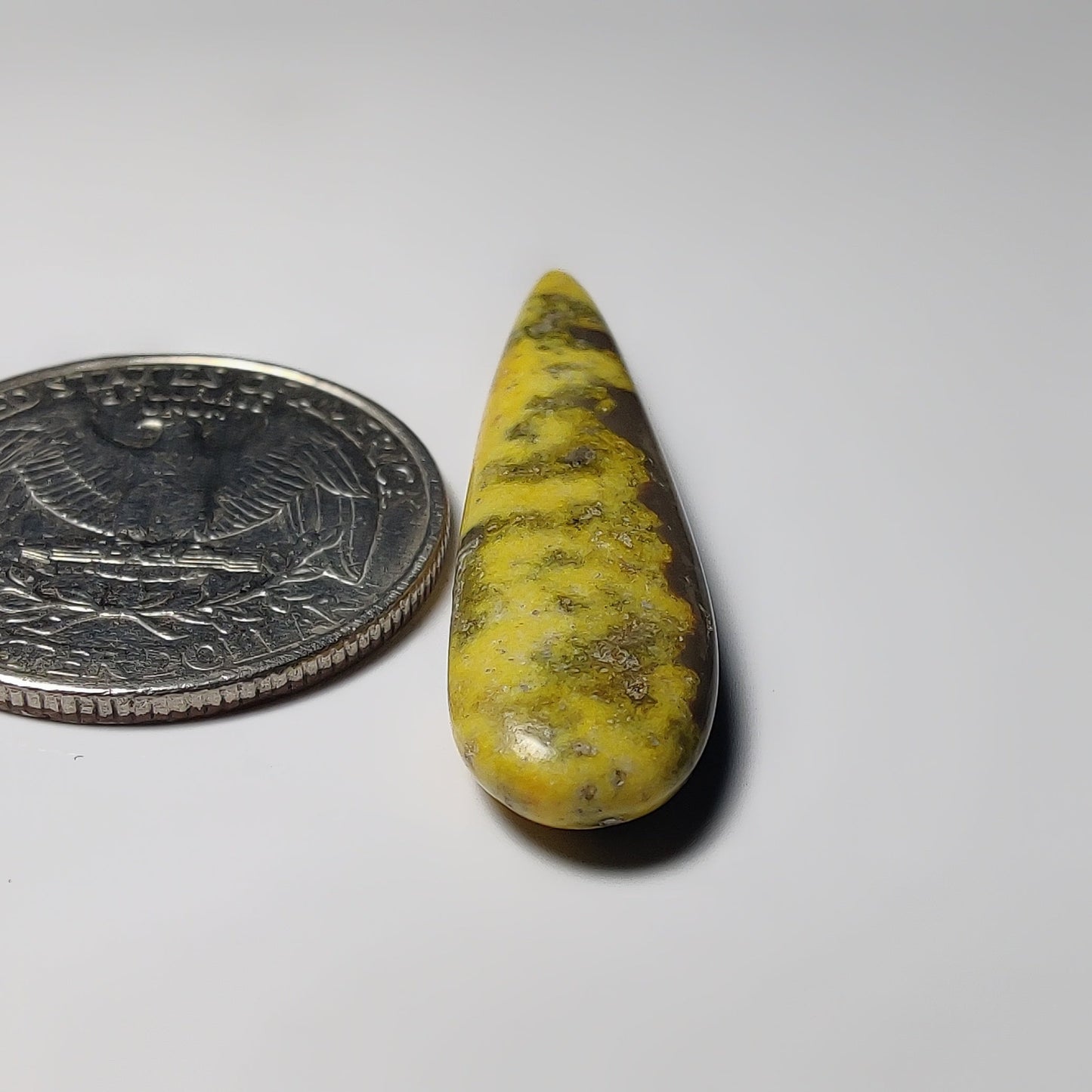Bumblebee Jasper