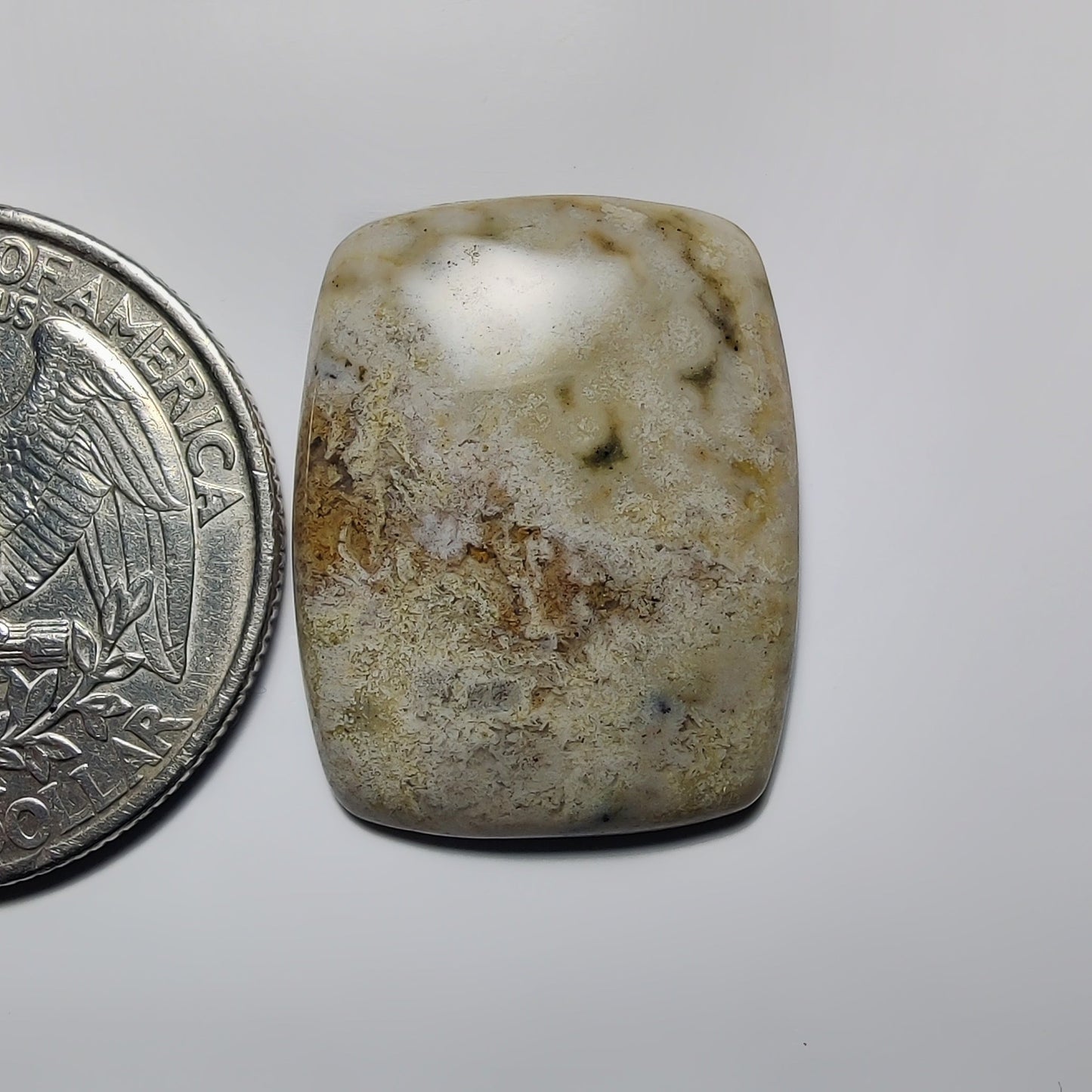 Ocean Jasper