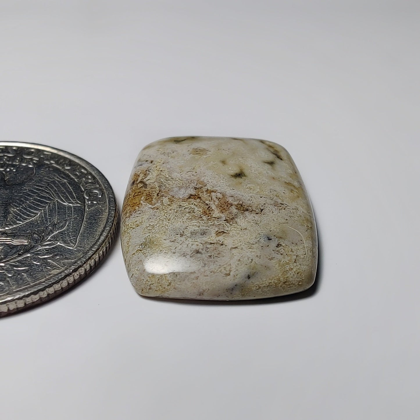 Ocean Jasper