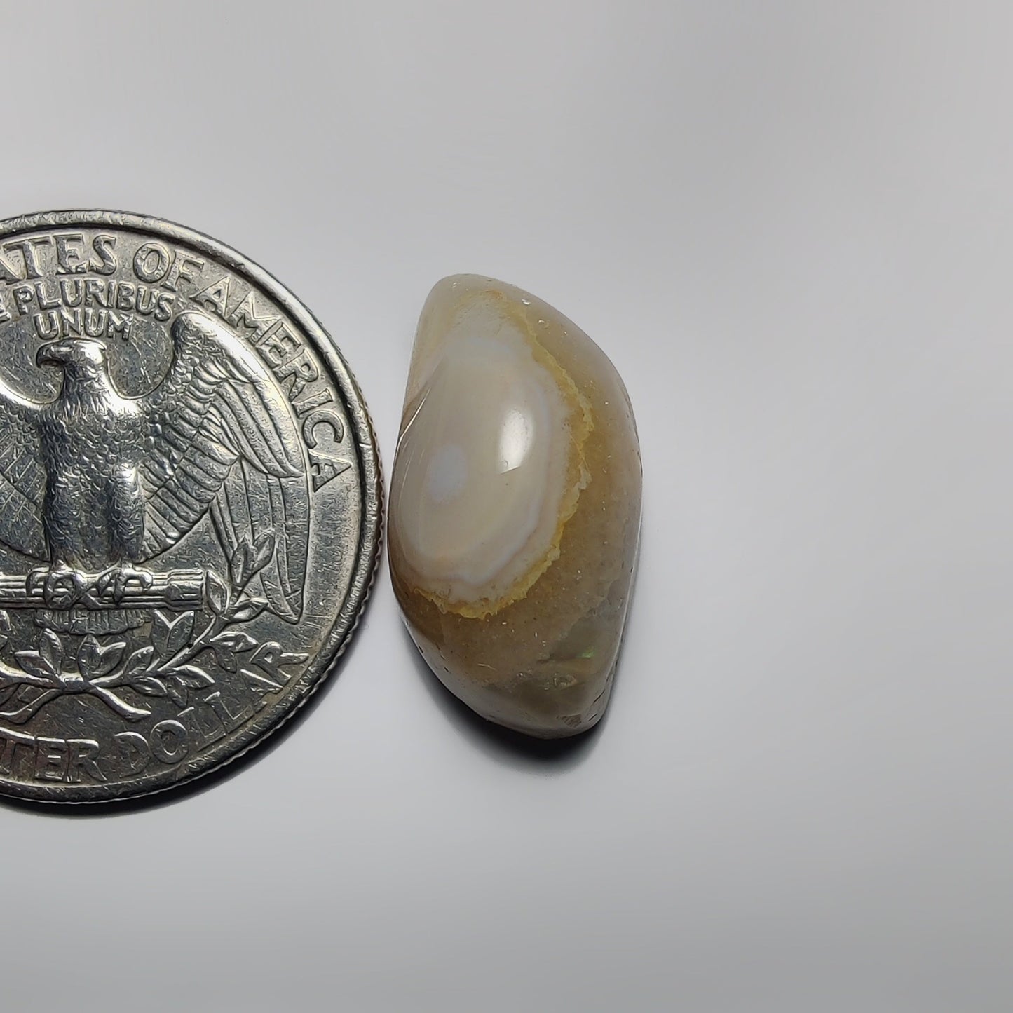 Ocean Jasper