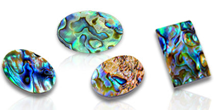 Abalone Shell