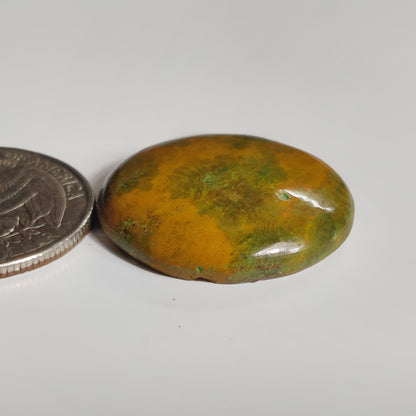 Ocean Jasper