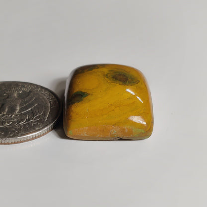 Ocean Jasper