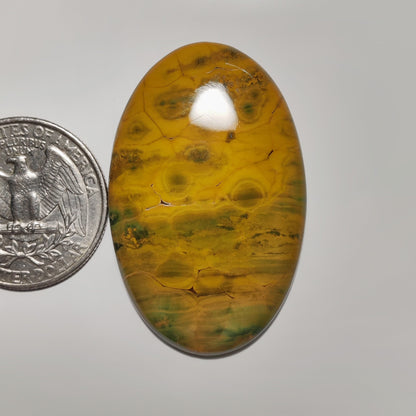 Ocean Jasper