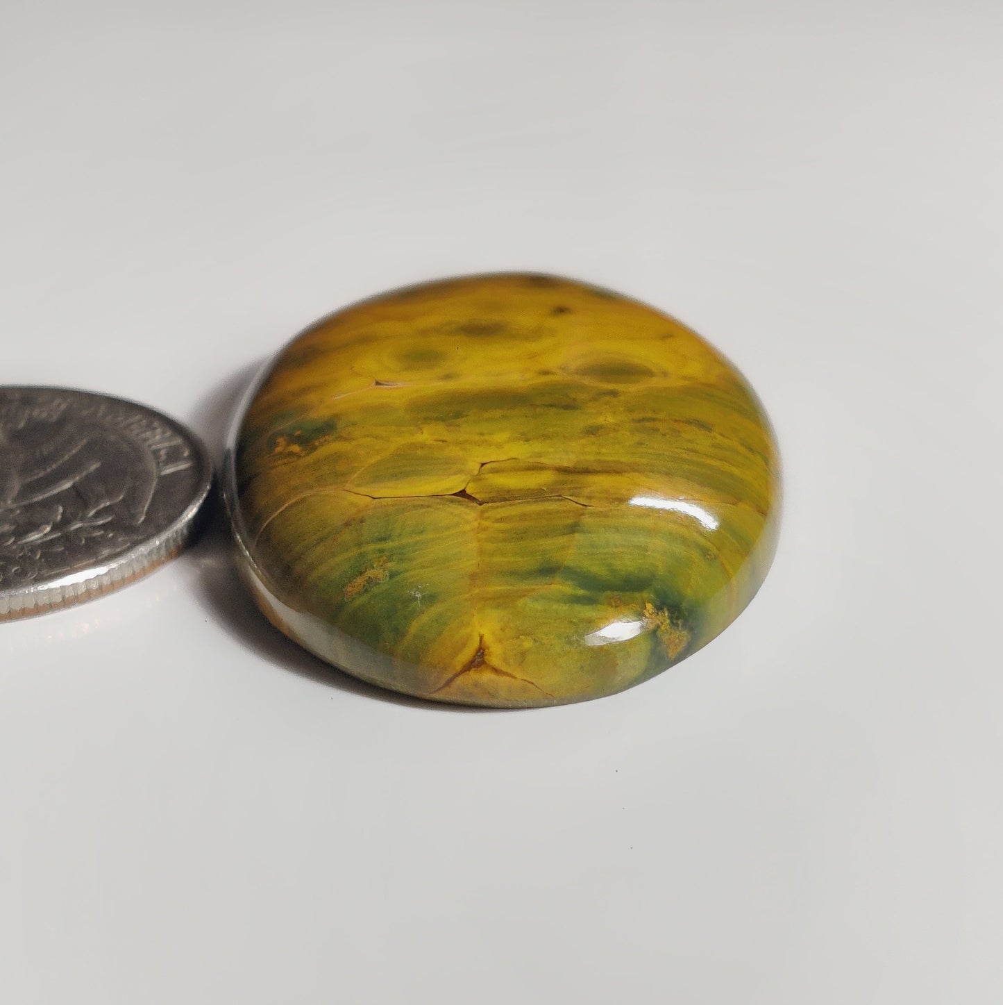 Ocean Jasper