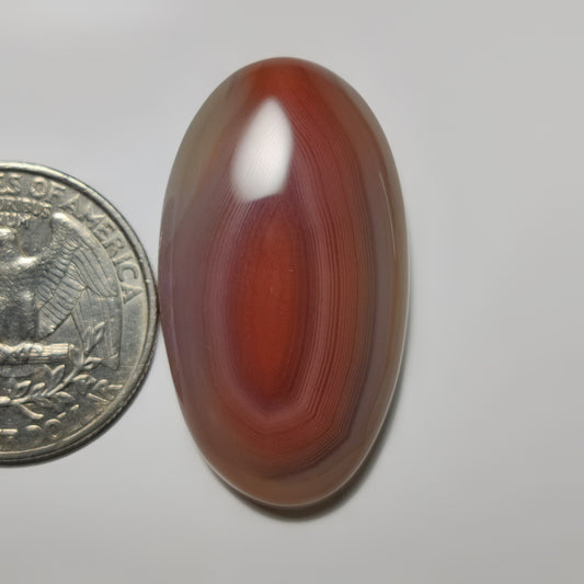 Botswana Agate