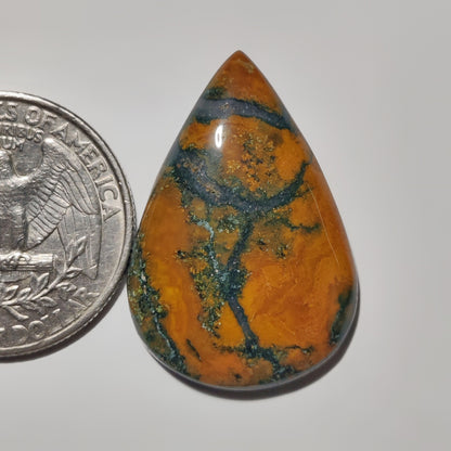 Thunder Agate