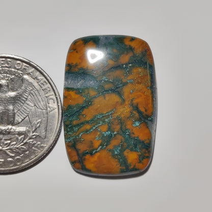 Thunder Agate