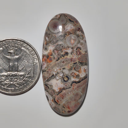 Leopard Skin Jasper