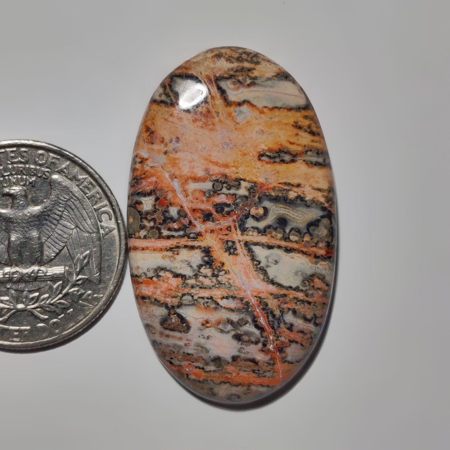 Leopard Skin Jasper