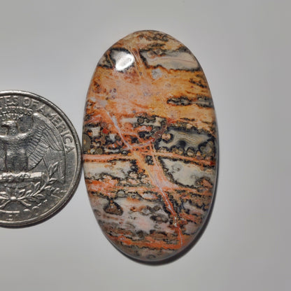 Leopard Skin Jasper