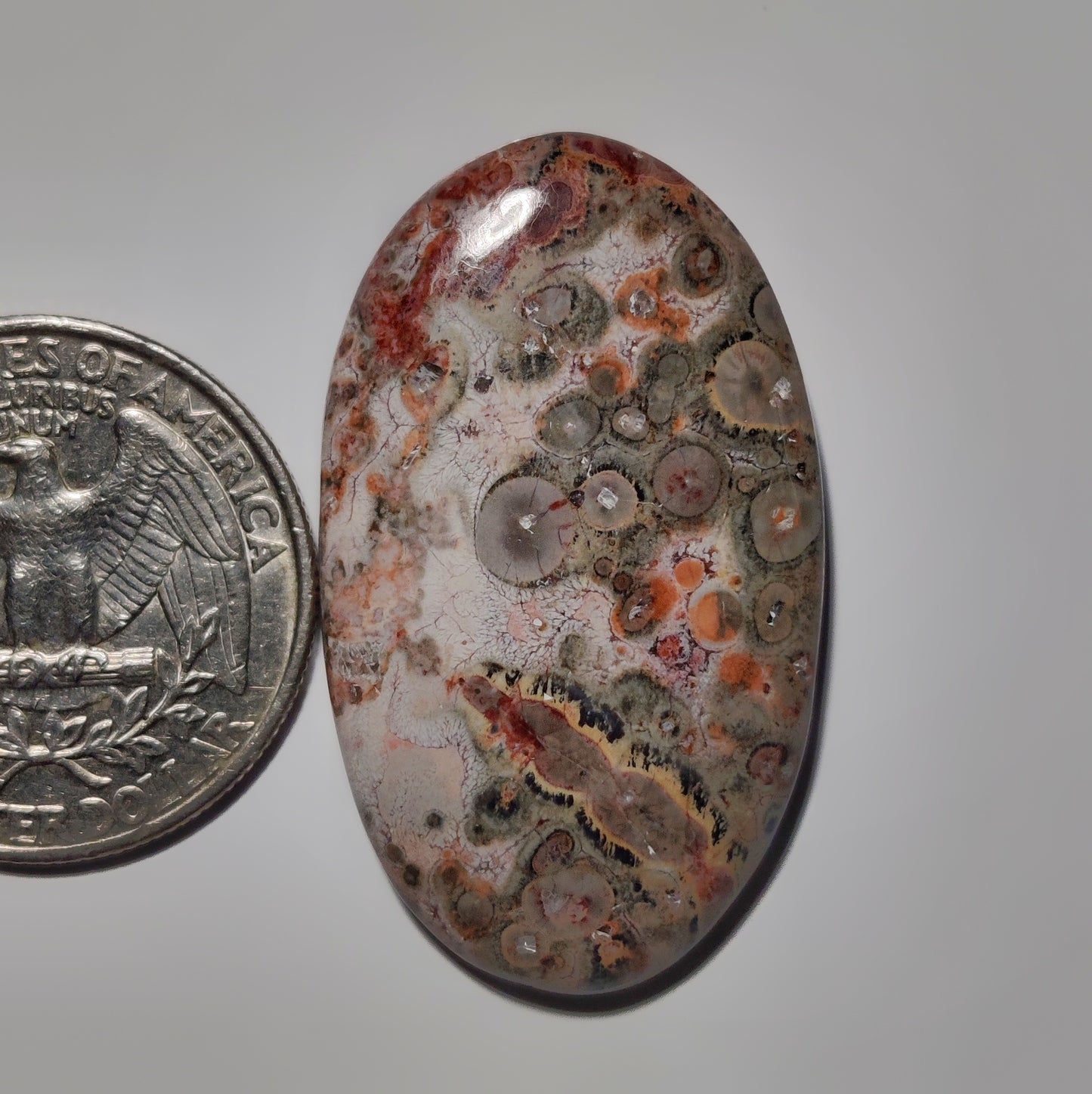 Leopard Skin Jasper