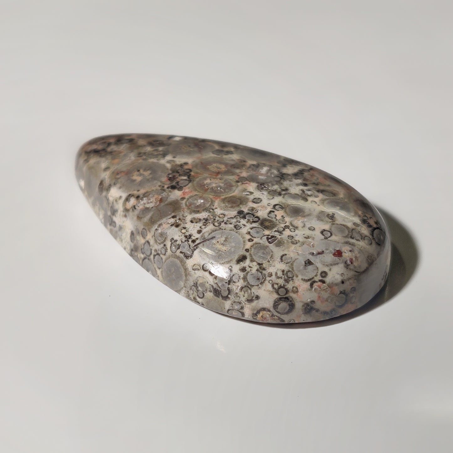 Leopard Skin Jasper