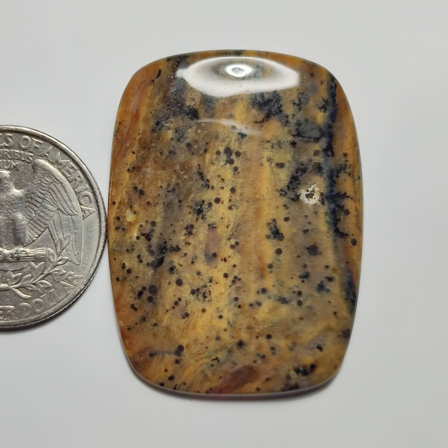 Honey Dendritic Agate