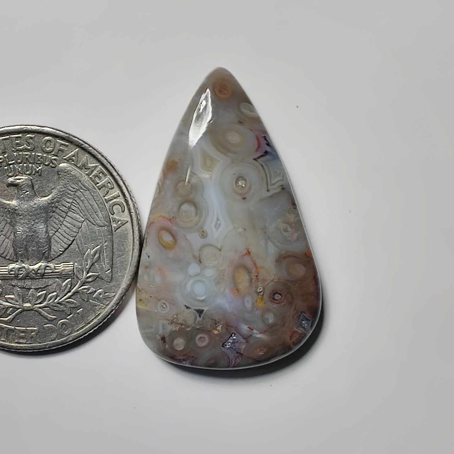 Palm Root Agate