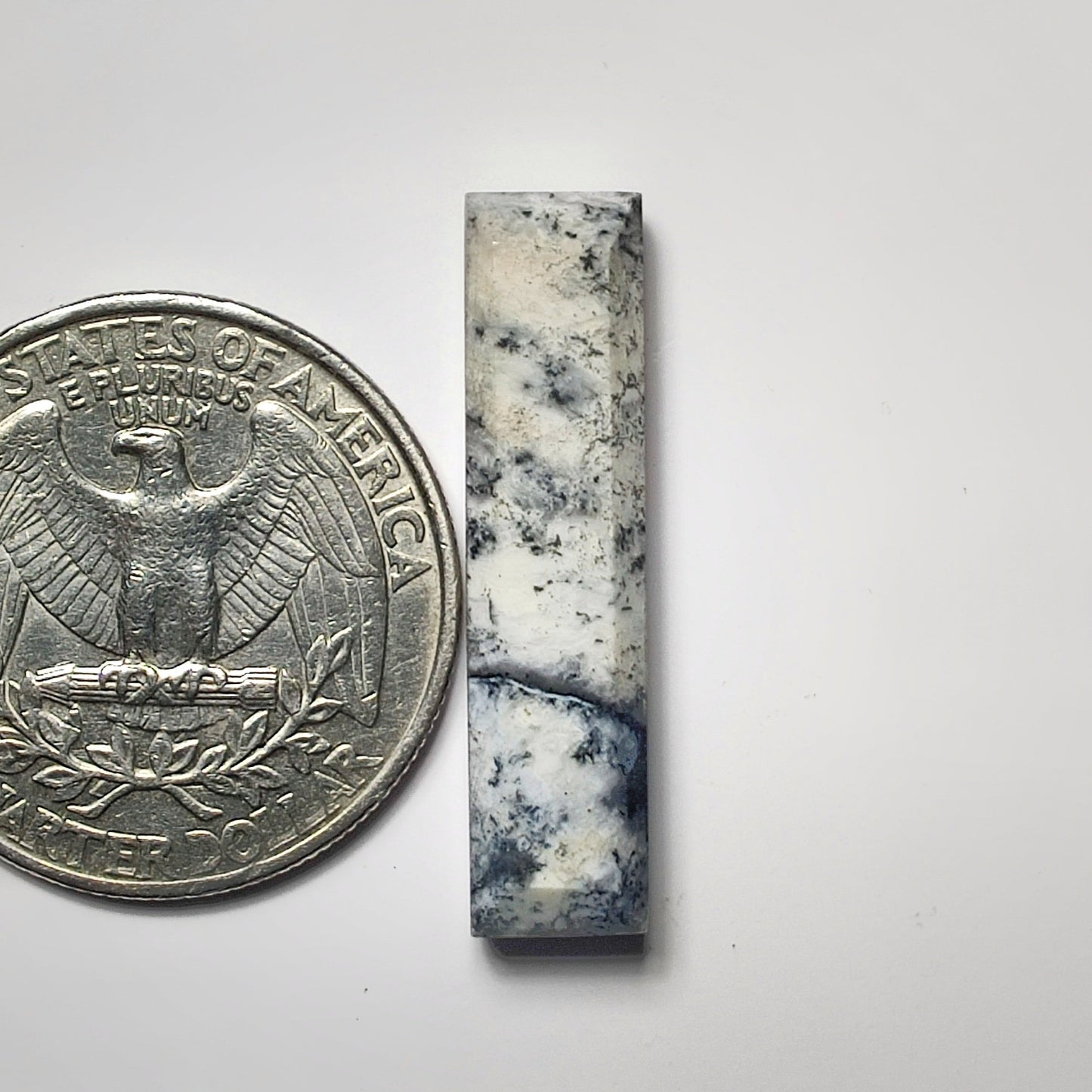 Dendritic Agate