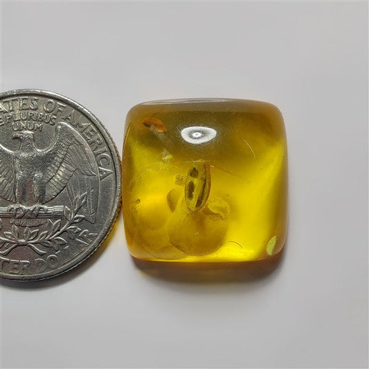Treated Amber gemstone cabochon - natural crystal healing stone for jewelry making by SemiPreciousCabs