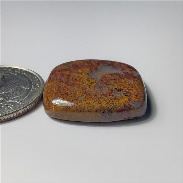 Plum Root Agate gemstone cabochon - natural crystal healing stone for jewelry making by SemiPreciousCabs