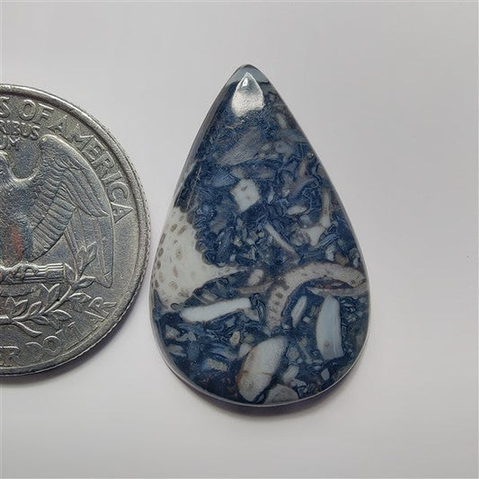 Orthoceras gemstone cabochon - natural crystal healing stone for jewelry making by SemiPreciousCabs
