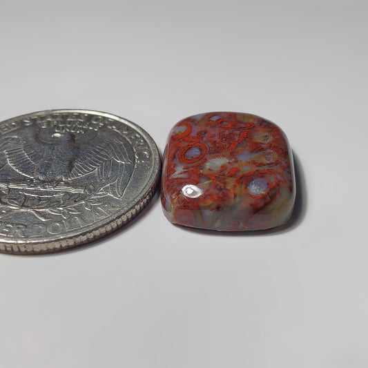 Palm Root Agate gemstone cabochon - natural crystal healing stone for jewelry making by SemiPreciousCabs