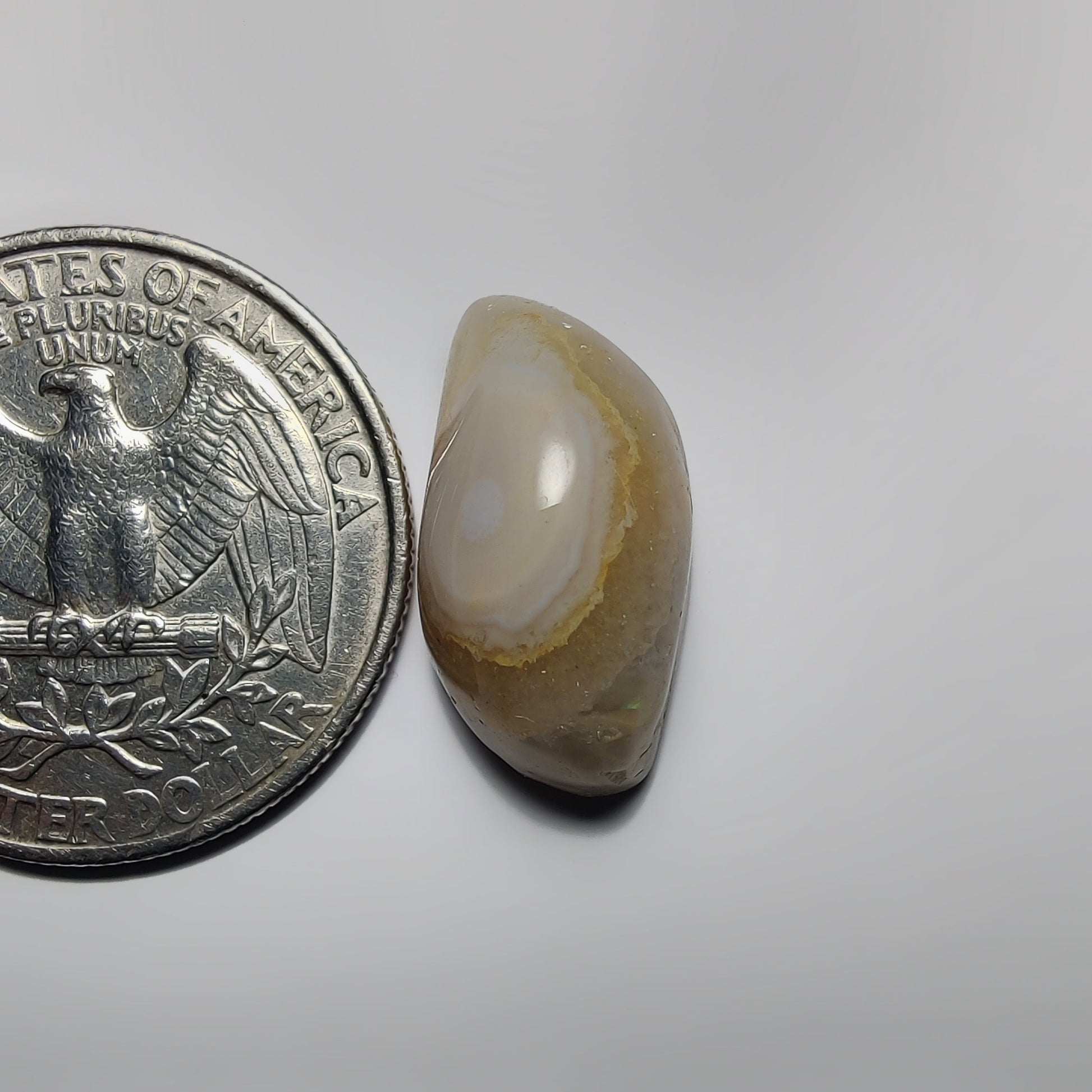 Ocean Jasper